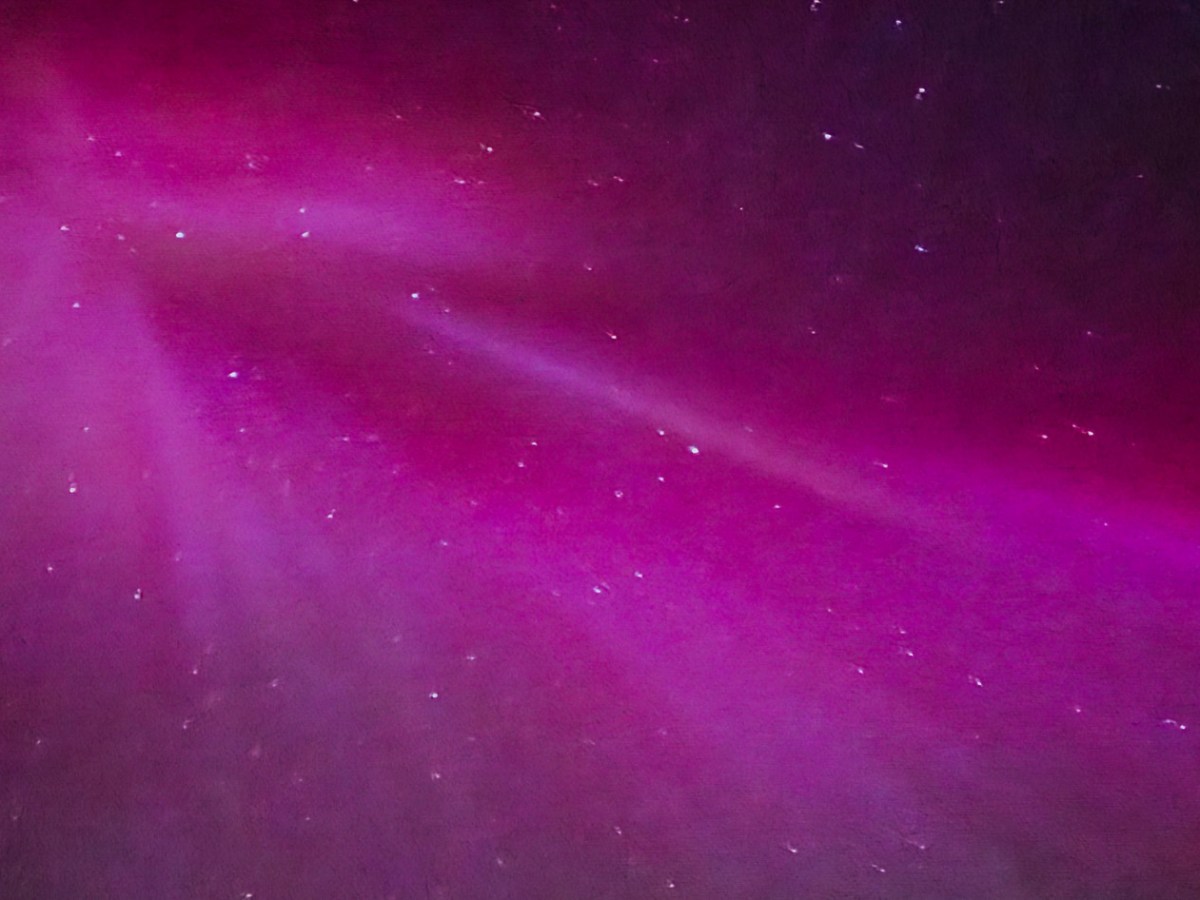 Purple aurora borealis with faint stars in a night sky Talkeetna 2025