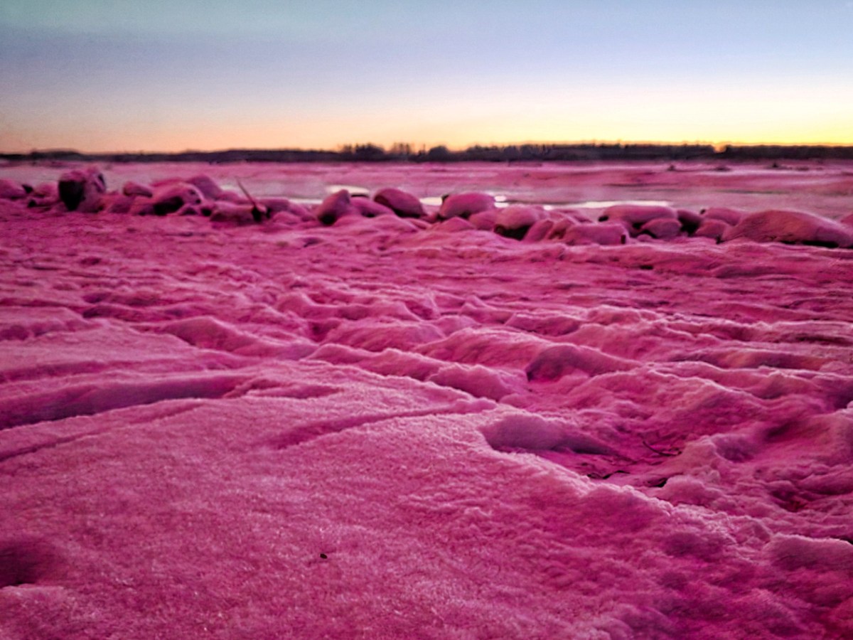 Northern light reflection on snow Winter 2025 in Talkeetna Alaska
