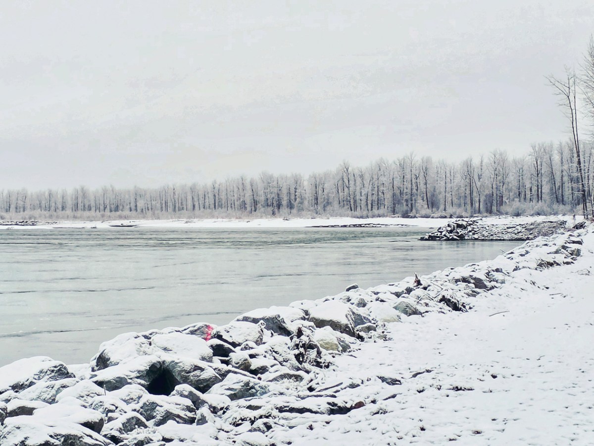 Susitna River Walk in Talkeetna Alaska