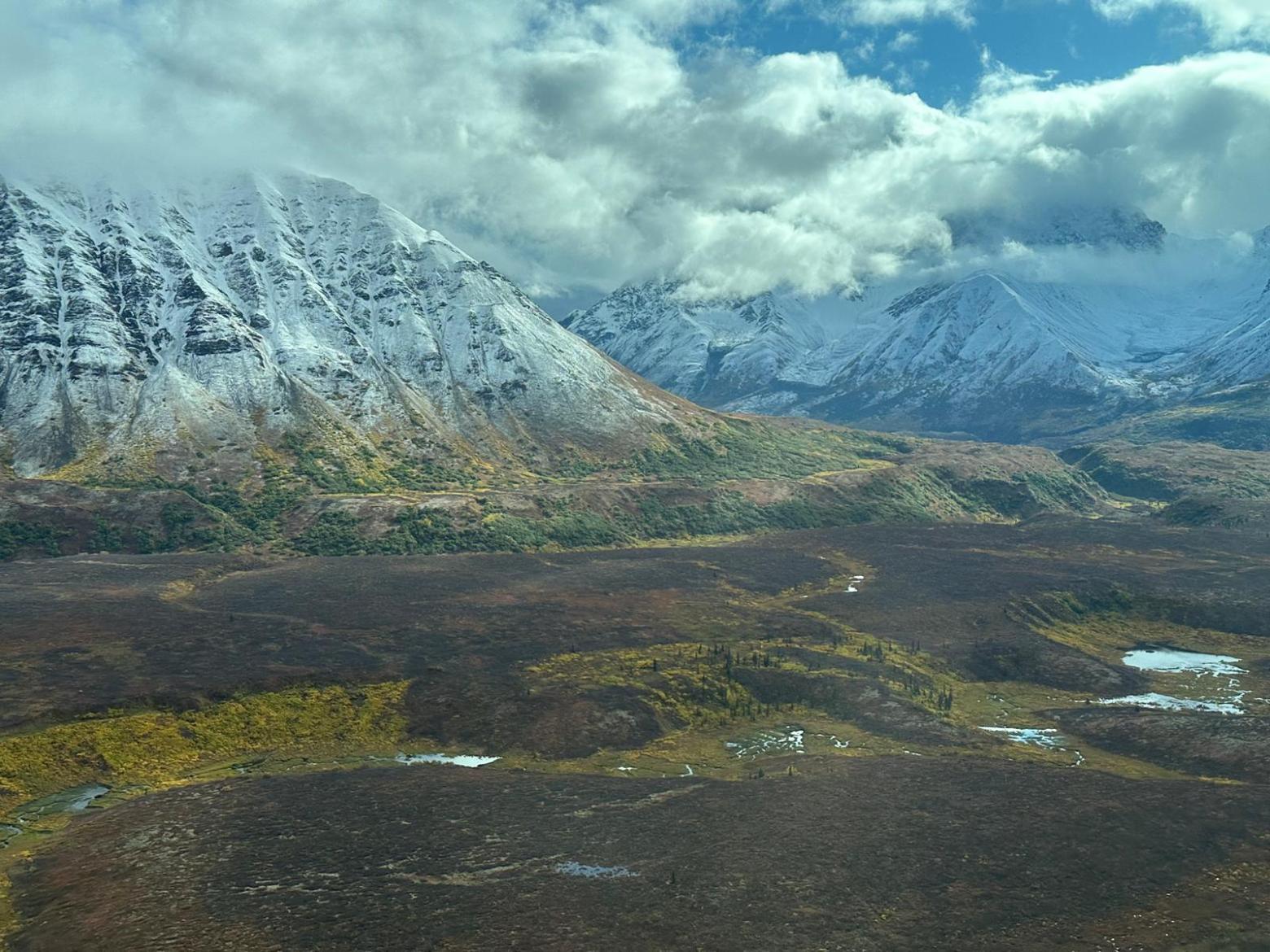 AK Big Game Transporter Talkeetna