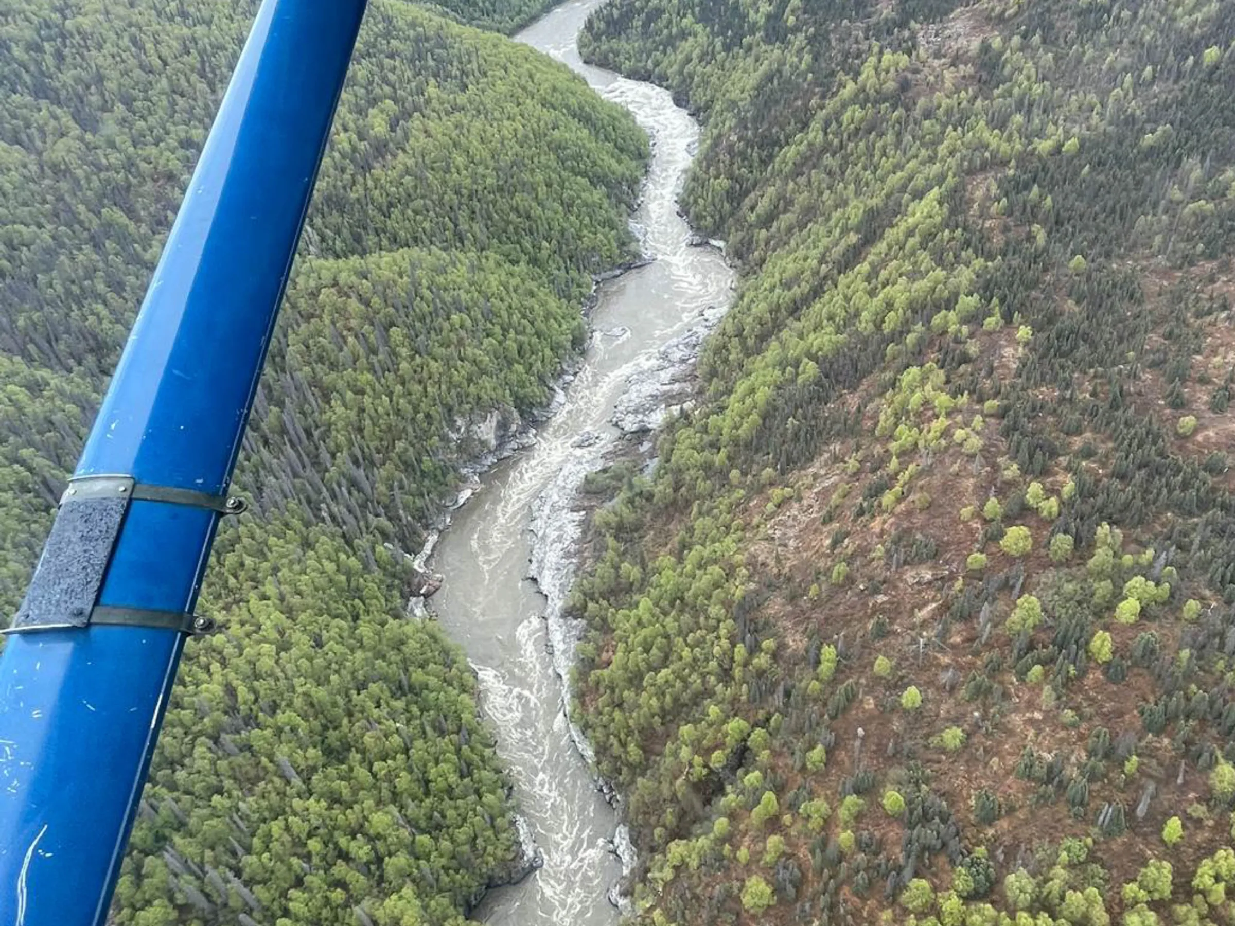 Aerial view of a winding river through a forested valley, seen from a plane.