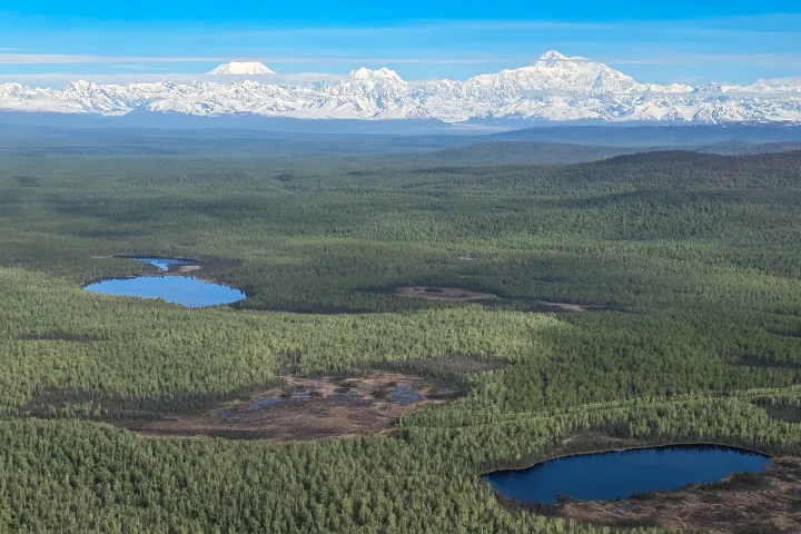 Aerial view of lakes and forest with snow-capped mountains in the distance.