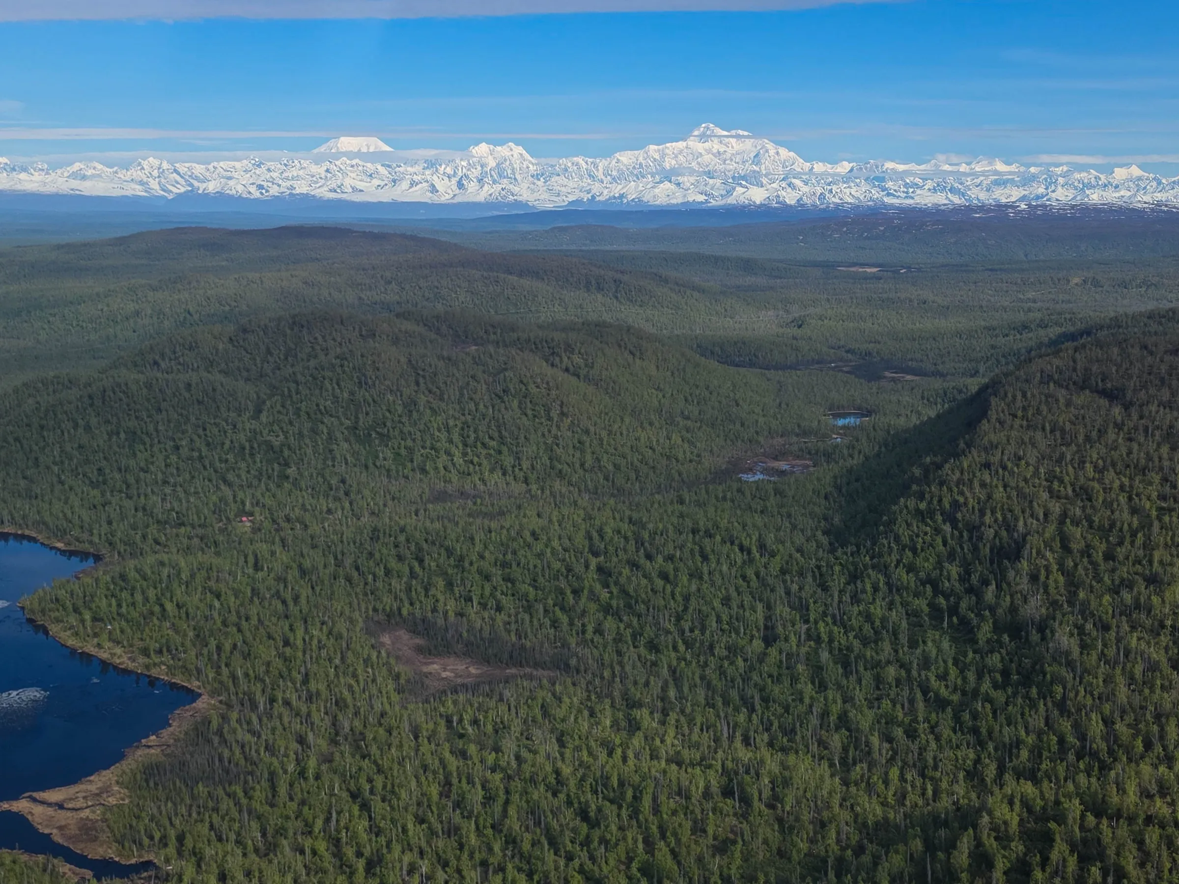 Aerial view of braided river with multiple channels, surrounded by forested area.