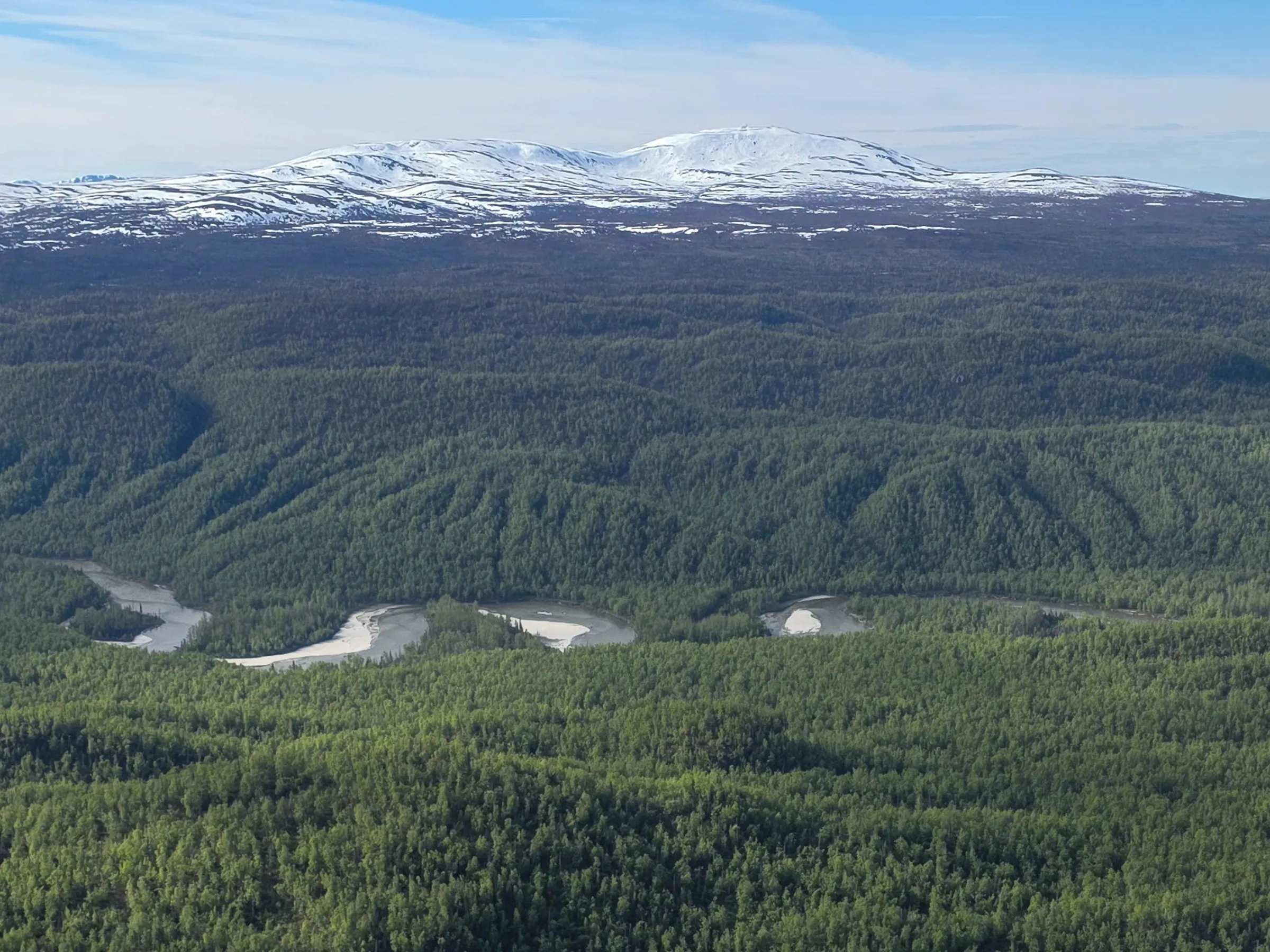 Aerial view of forested mountains with winding rivers and distant snow-capped peaks.