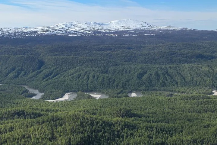 Aerial view of forested mountains with winding rivers and distant snow-capped peaks.