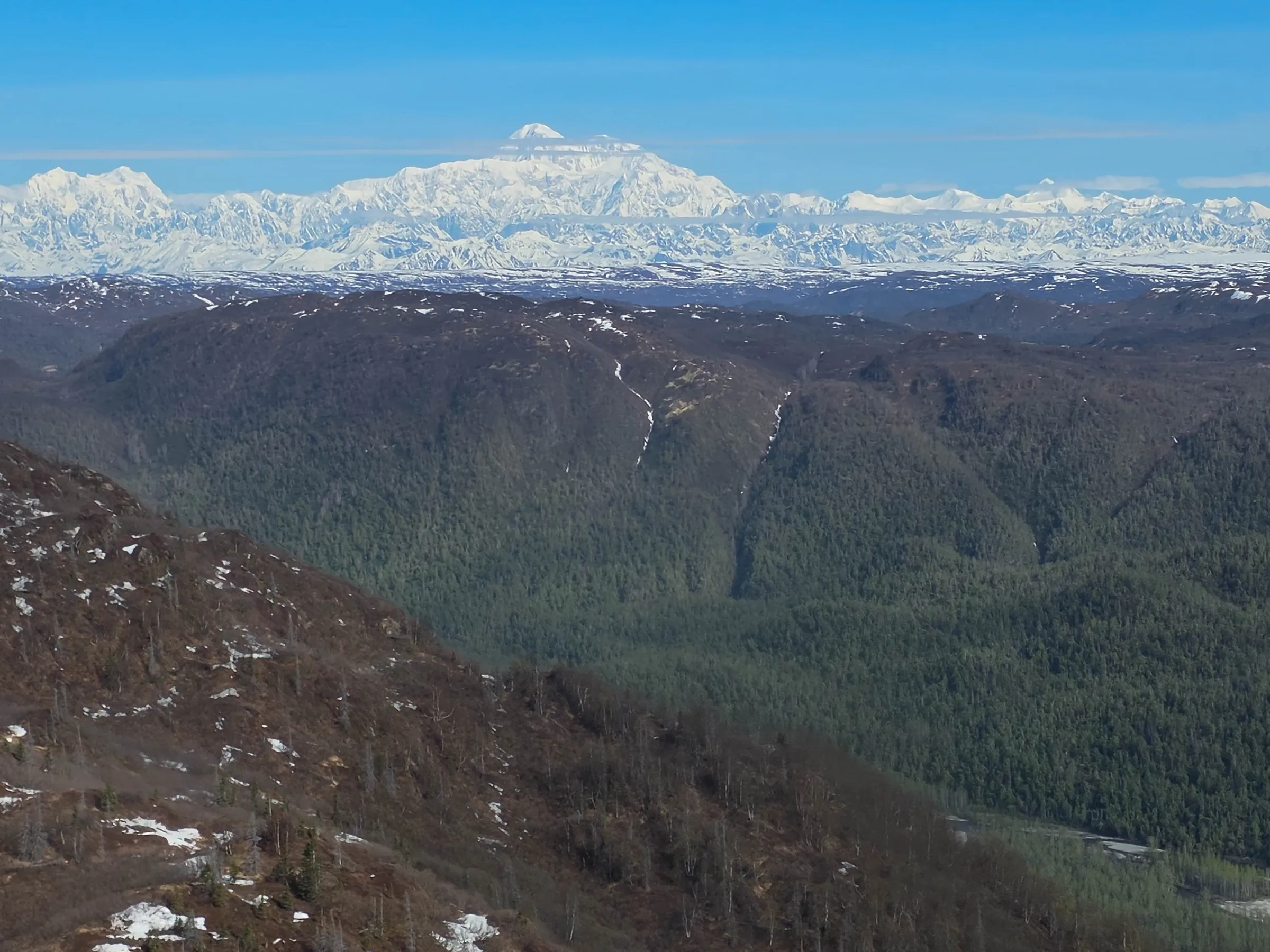 Snow-capped mountains with forested foreground under a clear blue sky.