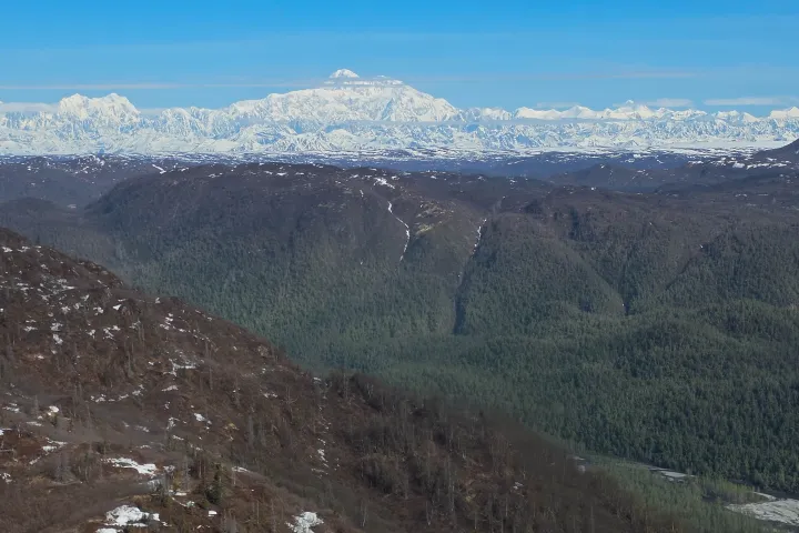 Snow-capped mountains with forested foreground under a clear blue sky.