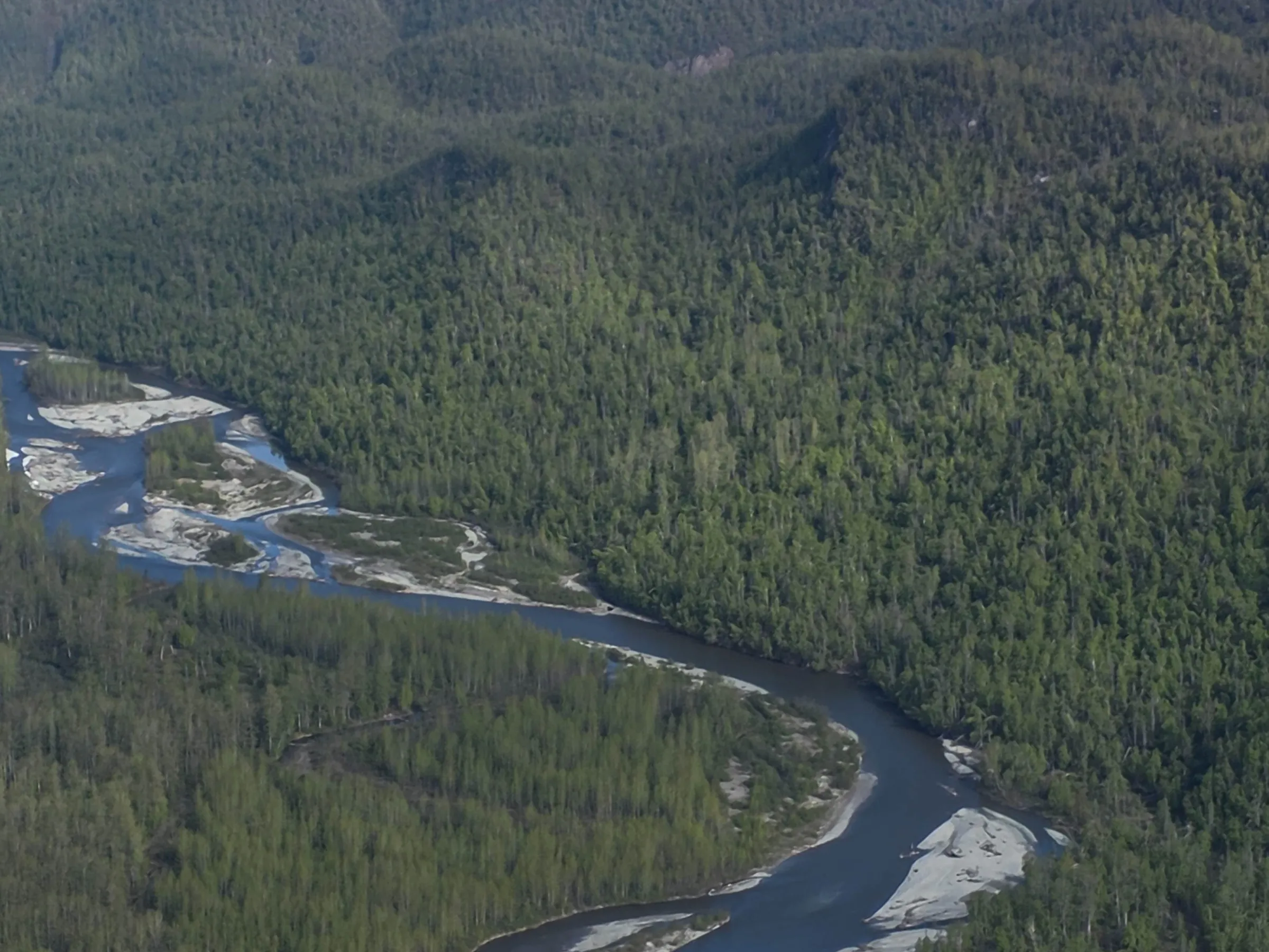 Aerial view of a winding river through a forest with snow-capped mountains in the distance.
