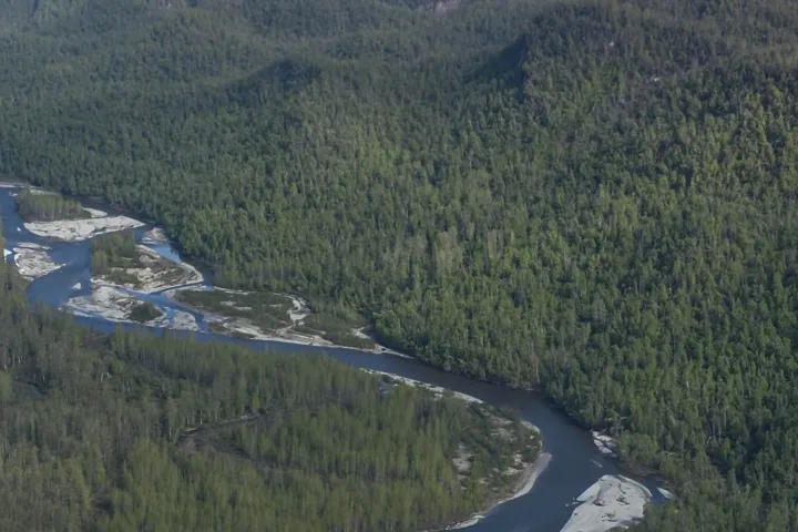 Aerial view of a winding river through a forest with snow-capped mountains in the distance.