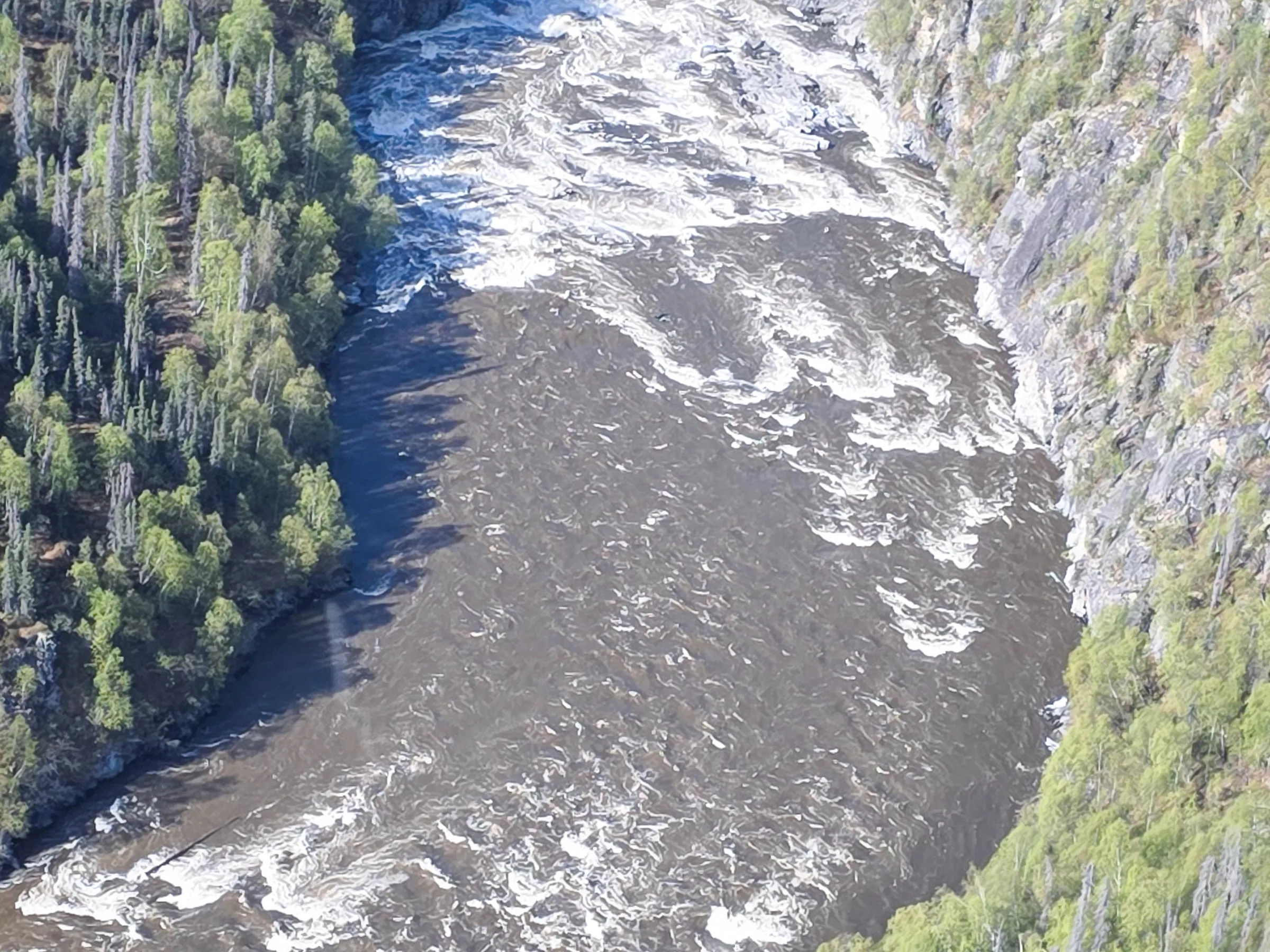 Aerial view of a winding river with rapids, surrounded by dense forest.