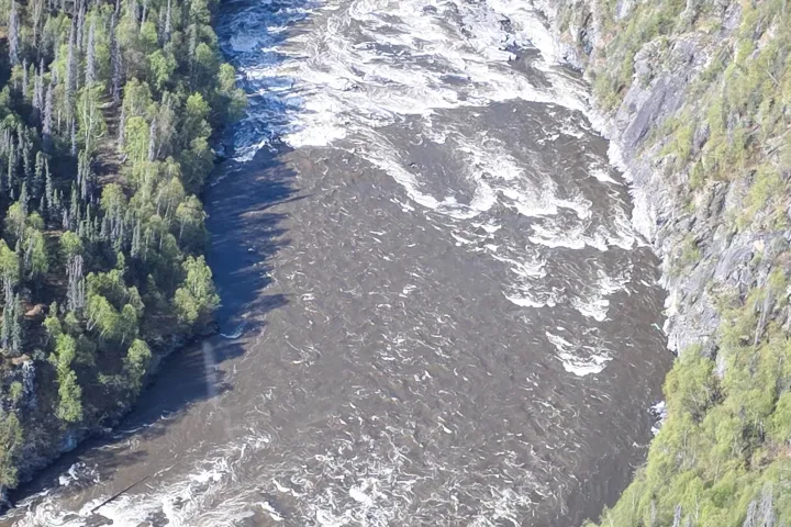 Aerial view of a winding river with rapids, surrounded by dense forest.