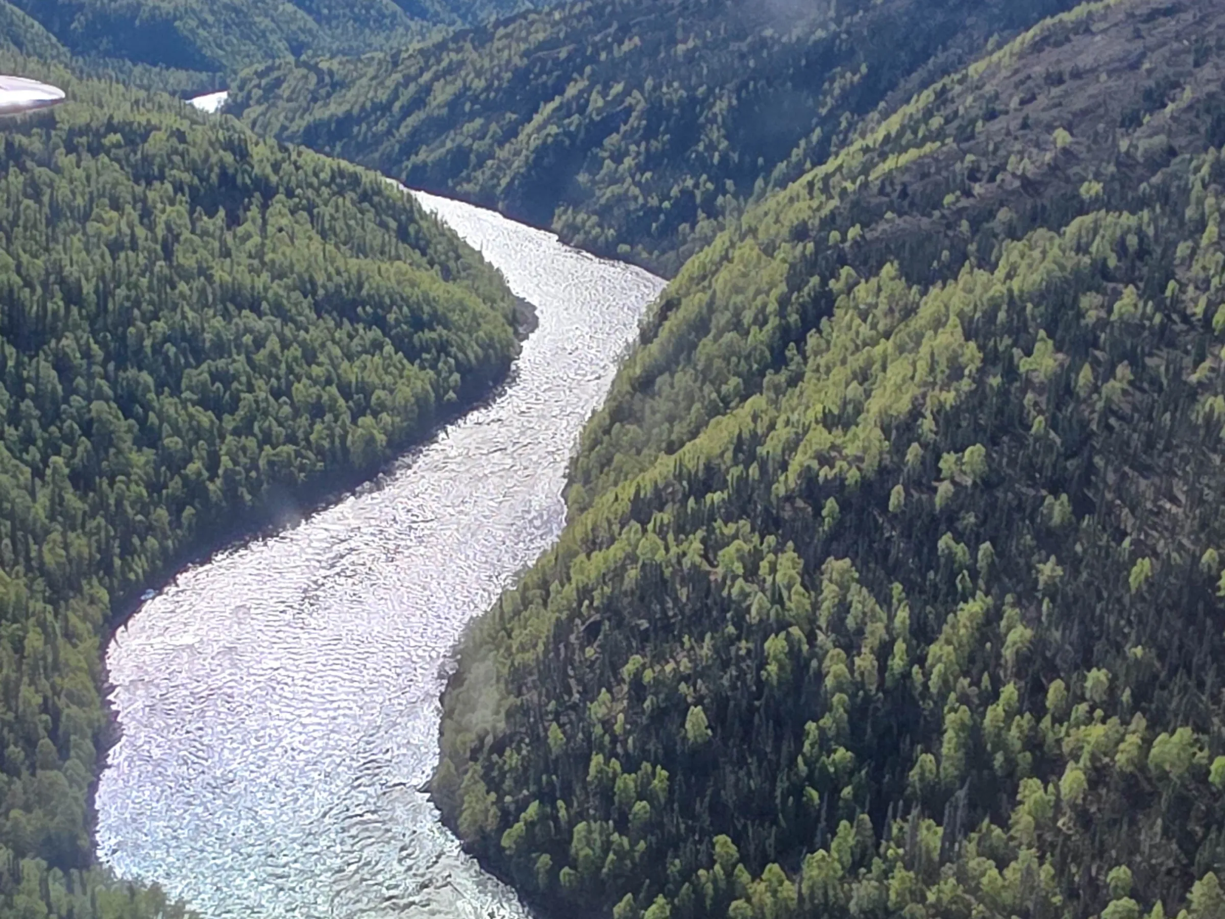 Aerial view of a winding river through forested mountains.