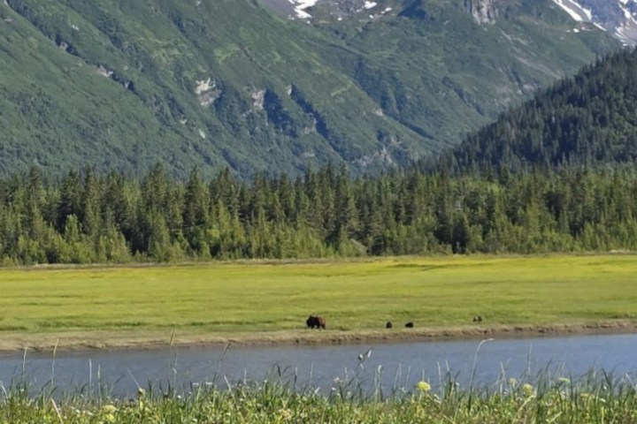 Mountain landscape with grassy field, pond, and distant bear under clear blue sky.