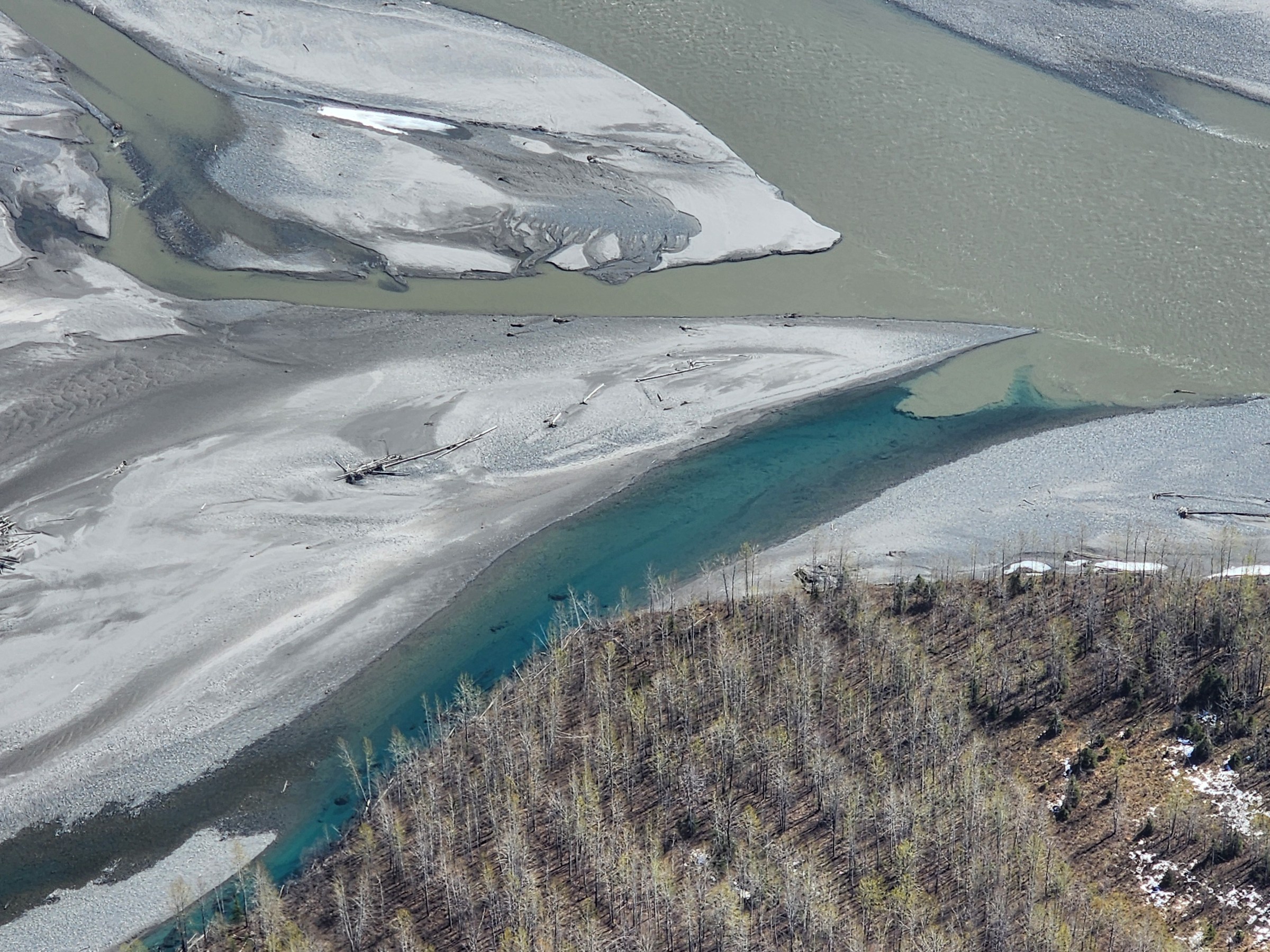 Aerial view of a river with sandbars and a small wooded area.